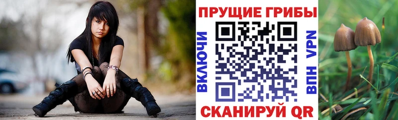 Псилоцибиновые грибы GOLDEN TEACHER  сайты даркнета состав  Серпухов  блэк спрут ТОР 