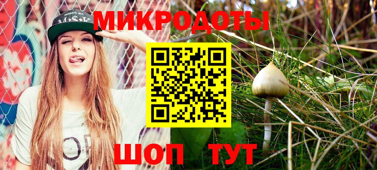 Псилоцибиновые грибы MAGIC MUSHROOMS  Вход с VPN  наркотики  Серпухов 